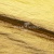 Текстильный материал "Диско"#1805 с покрытием РЕТ, 40гр/м2, 100% полиэстер, цв.5-золото - купить в Сургуте. Цена 412.36 руб.