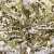 Трикотажное полотно, Сетка с пайетками, шир.130 см, #315, цв.-белый/золото - купить в Сургуте. Цена 693.39 руб.
