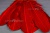 Декоративный Пучок из перьев, перо 23см/красный - купить в Сургуте. Цена: 11.16 руб.