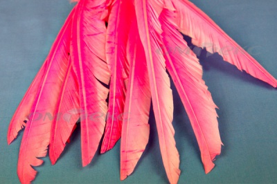 Декоративный Пучок из перьев, перо 25см/розовый - купить в Сургуте. Цена: 14.40 руб.