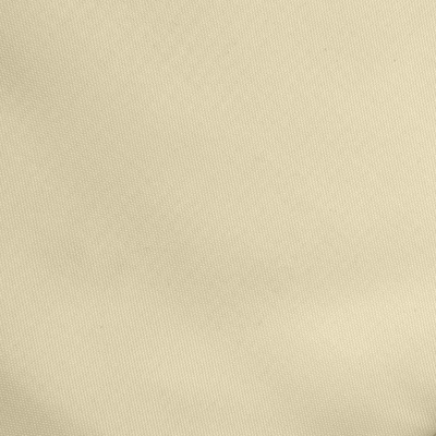 Ткань подкладочная Таффета 14-1014, антист., 53 гр/м2, шир.150см, цвет бежевый - купить в Сургуте. Цена 62.37 руб.