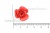 Украшение "Розы малые №1" 20мм - купить в Сургуте. Цена: 32.49 руб.