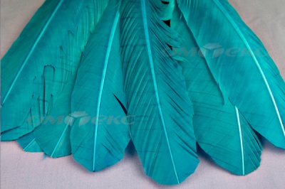 Декоративный Пучок из перьев, перо 24см/голубой - купить в Сургуте. Цена: 12.19 руб.