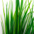 Трава искусственная -2, шт (осока 41см/8 см)				 - купить в Сургуте. Цена: 104.57 руб.