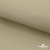 Ткань подкладочная TWILL 230T 14-1108, беж светлый 100% полиэстер,66 г/м2, шир.150 cм - купить в Сургуте. Цена 90.59 руб.