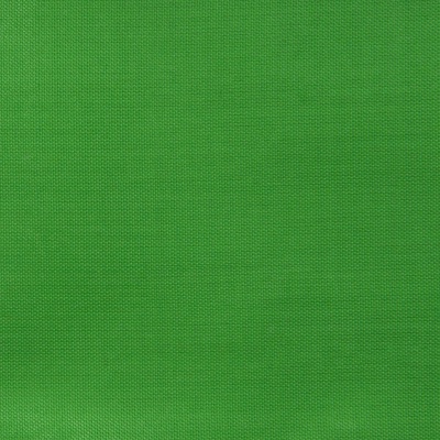 Ткань подкладочная Таффета 17-6153, 48 гр/м2, шир.150см, цвет трава - купить в Сургуте. Цена 54.64 руб.