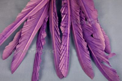 Декоративный Пучок из перьев, перо 25см/фиолетовый - купить в Сургуте. Цена: 12.19 руб.