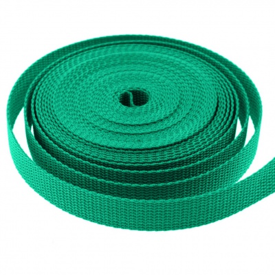Стропа текстильная, шир. 25 мм (в нам. 50+/-1 ярд), цвет яр.зелёный - купить в Сургуте. Цена: 397.52 руб.