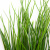 Трава искусственная -4, шт  (осока 50 см/8 см  7 листов)				 - купить в Сургуте. Цена: 130.73 руб.