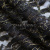Кружевное полотно XD LACE 1-4, 80 гр/м2, шир.150см, цвет чёрный - купить в Сургуте. Цена 245.94 руб.